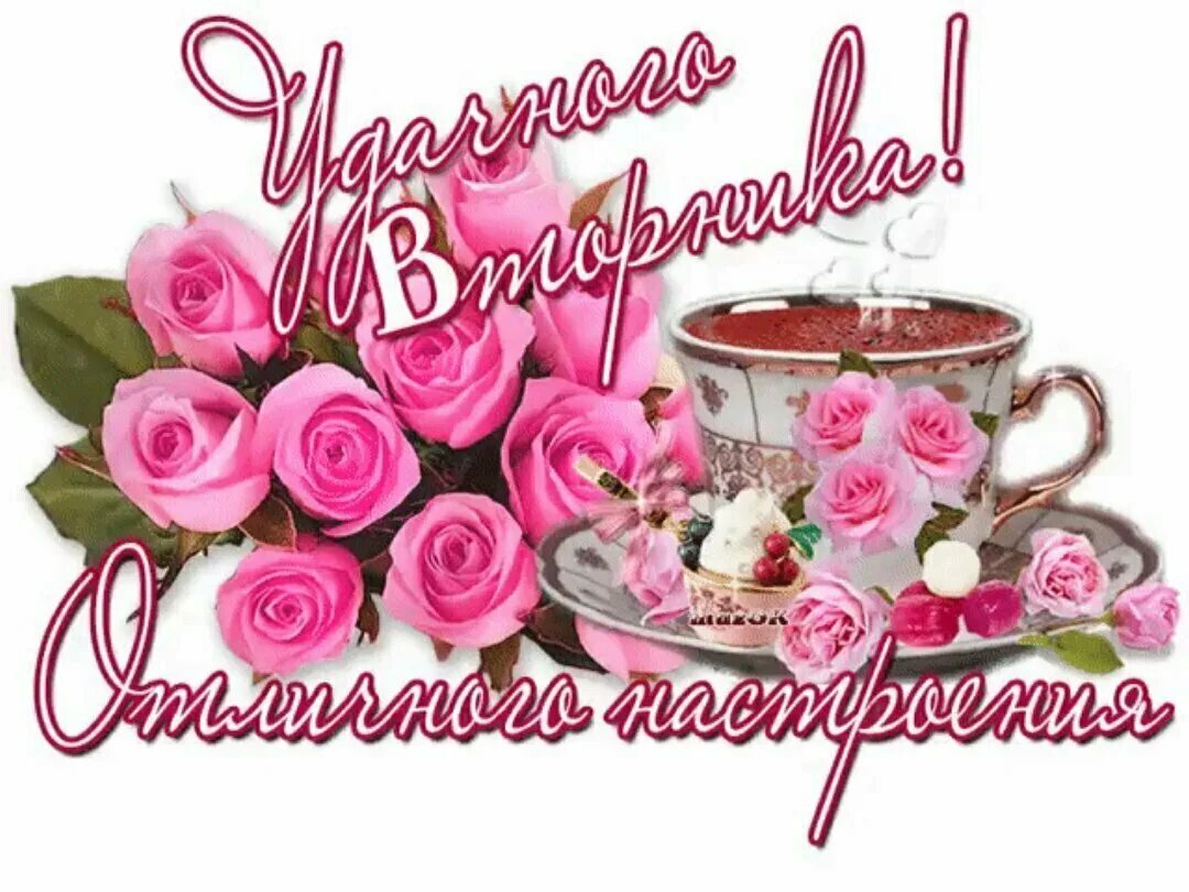 Пожелание удачного вторника. Самые красивые пожелания доброго утра. Поздравления с добрым утром вторника. Открытки с добрым утром и хорошим настроением. Хорошего вторника.