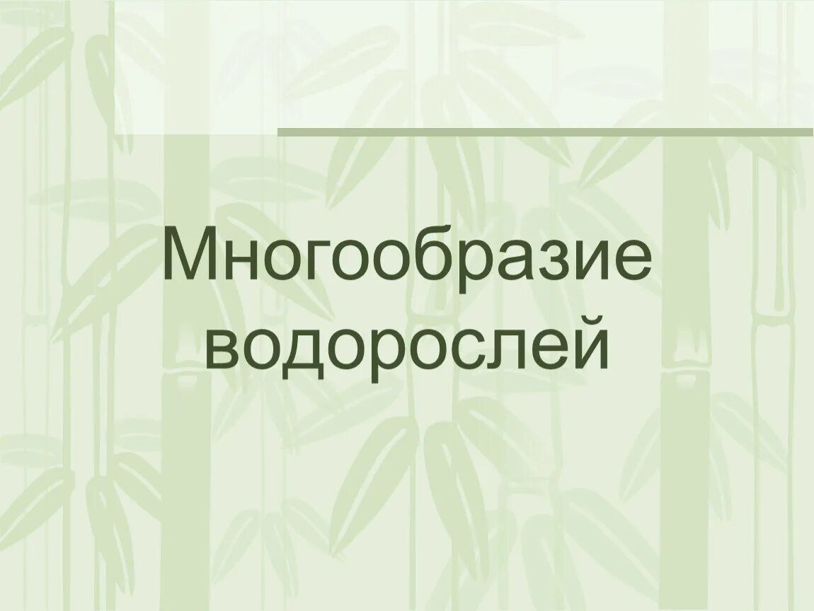 Разнообразие водорослей таблица. Разнообразие водорослей таблица