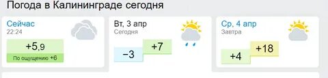Погода в калининграде на месяц ноябрь 2024