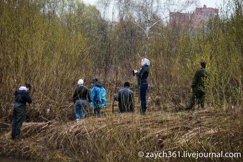 Теле томск