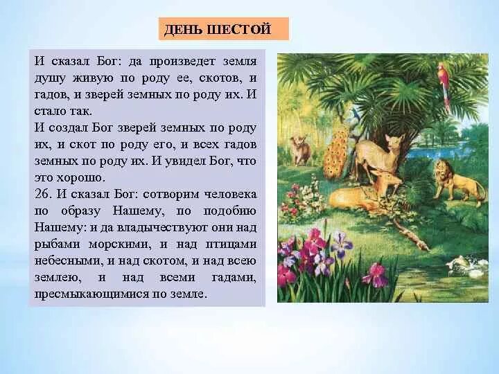 Сказал бог сотворим. И создал Бог зверей земных по роду их. Что сотворил Бог на 6 день. Бог сотворил животных.