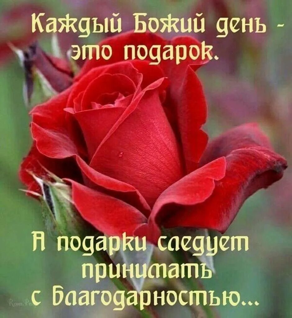 Картинки с божьими пожеланиями. Пожелания доброго утра и Божьего благословения. Благословения на каждый день. Пожелания доброго дня и Божьего благословения. Христианские пожелания на каждый день.