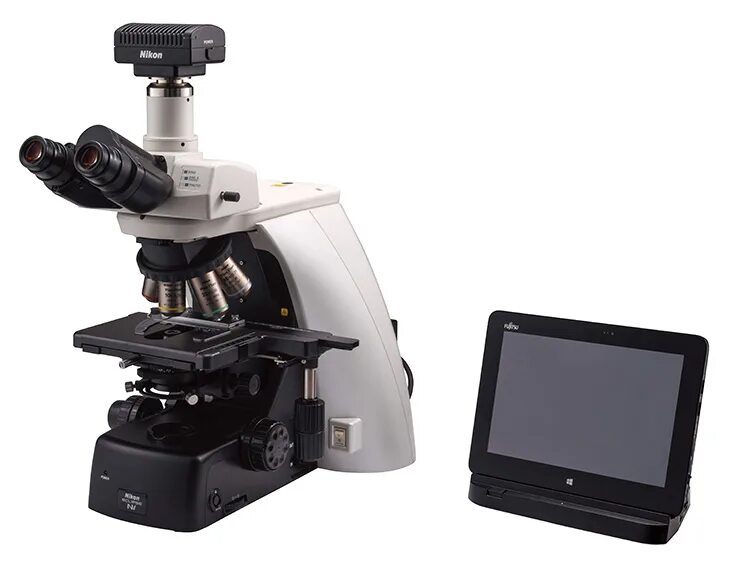 Microscope camera