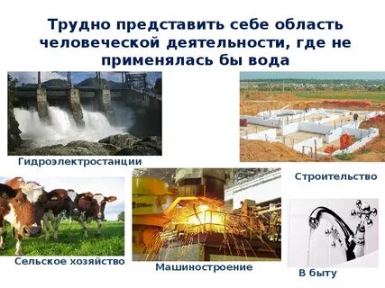 Как используется в хозяйстве