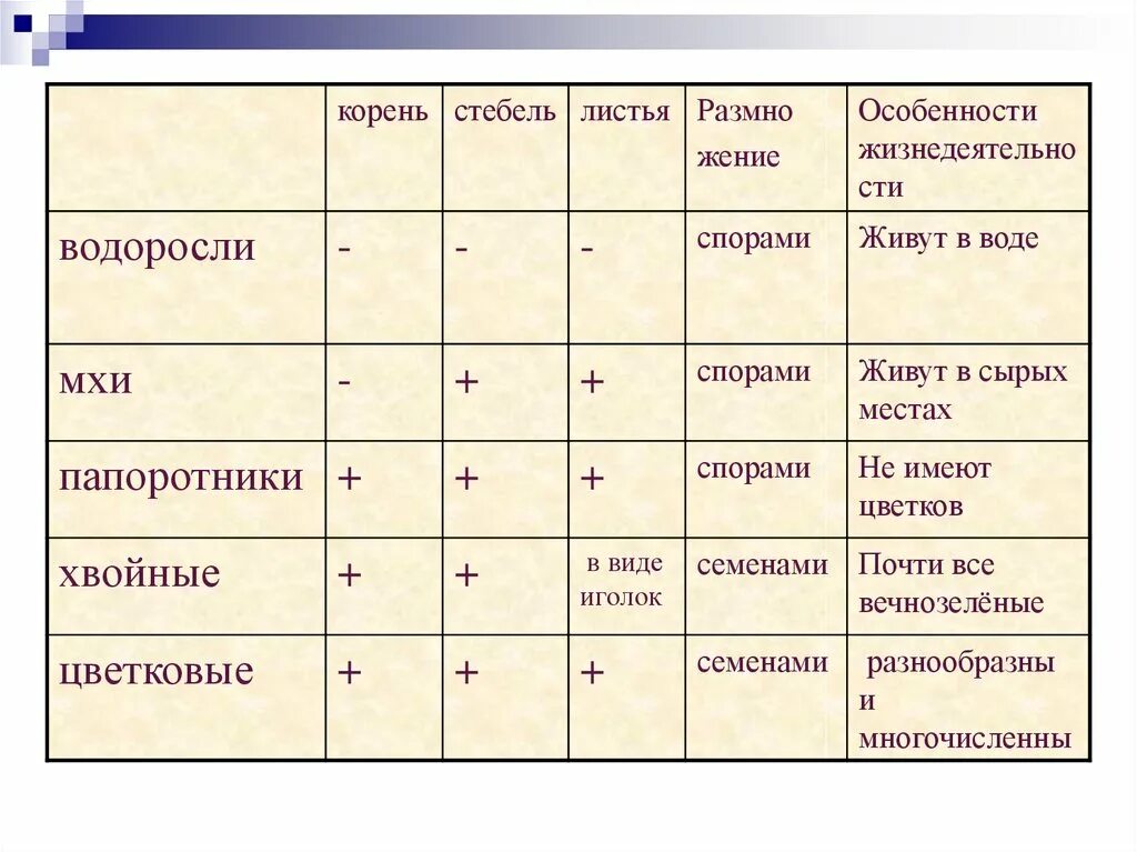 Будет ли корни 3. Особенности жизнедеятельности водорослей. Водоросли корень стебель. У водорослей есть стебель. У водорослей есть корни.