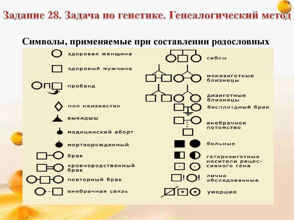 Родословная задача по генетике. Решение генетических задач и составление родословных. Задача по генетике по генеалогии. Родословная задача по генетике. Задачи егэ по биологии генеалогический метод.