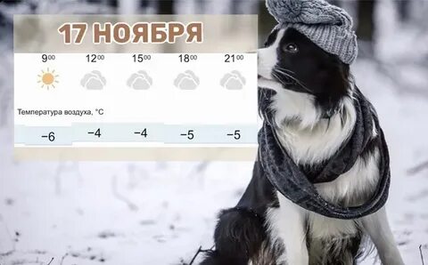 22 ноября 2023 года доброе утро