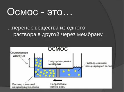 Что означает слово осмос
