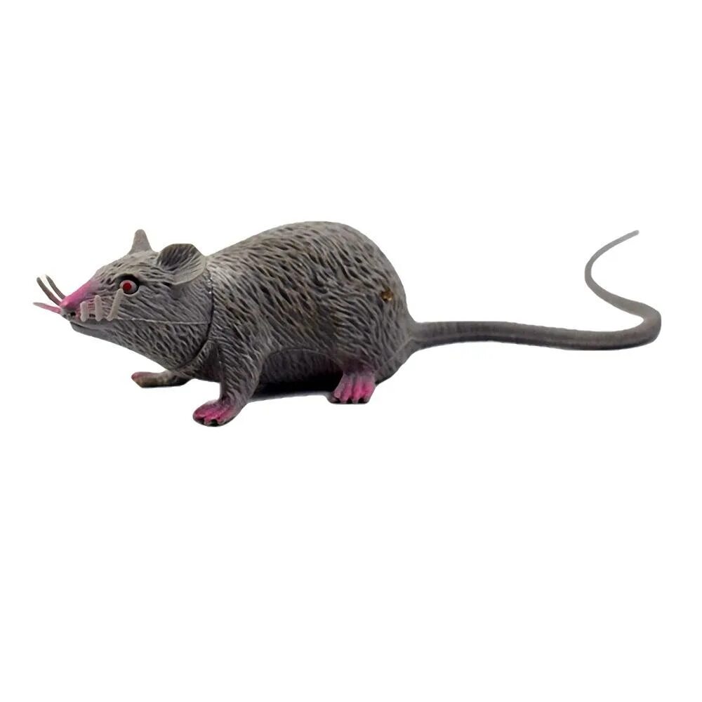 Модели мышей. Резиновая мышь. Мышь игрушка. Игрушки для крыс. Резиновая крыса.