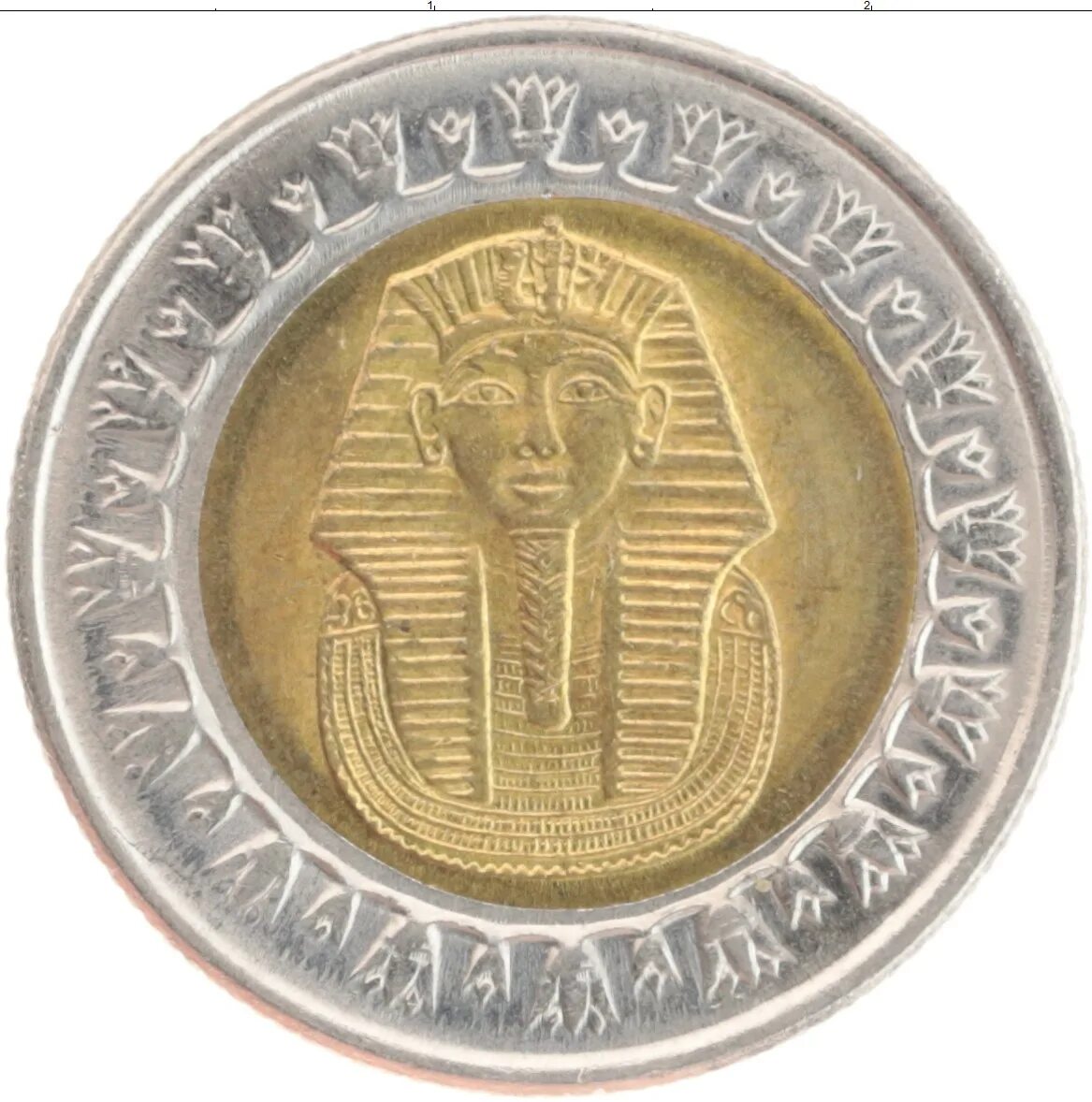 First coins. Монета Египет 1 фунт. Монета 1 фунт Египет Биметалл. Монета Египта 1 паундс. Монеты Египет 1 фунт 2008.