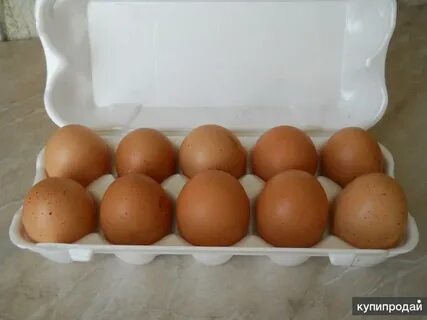 Авито продать яйцо