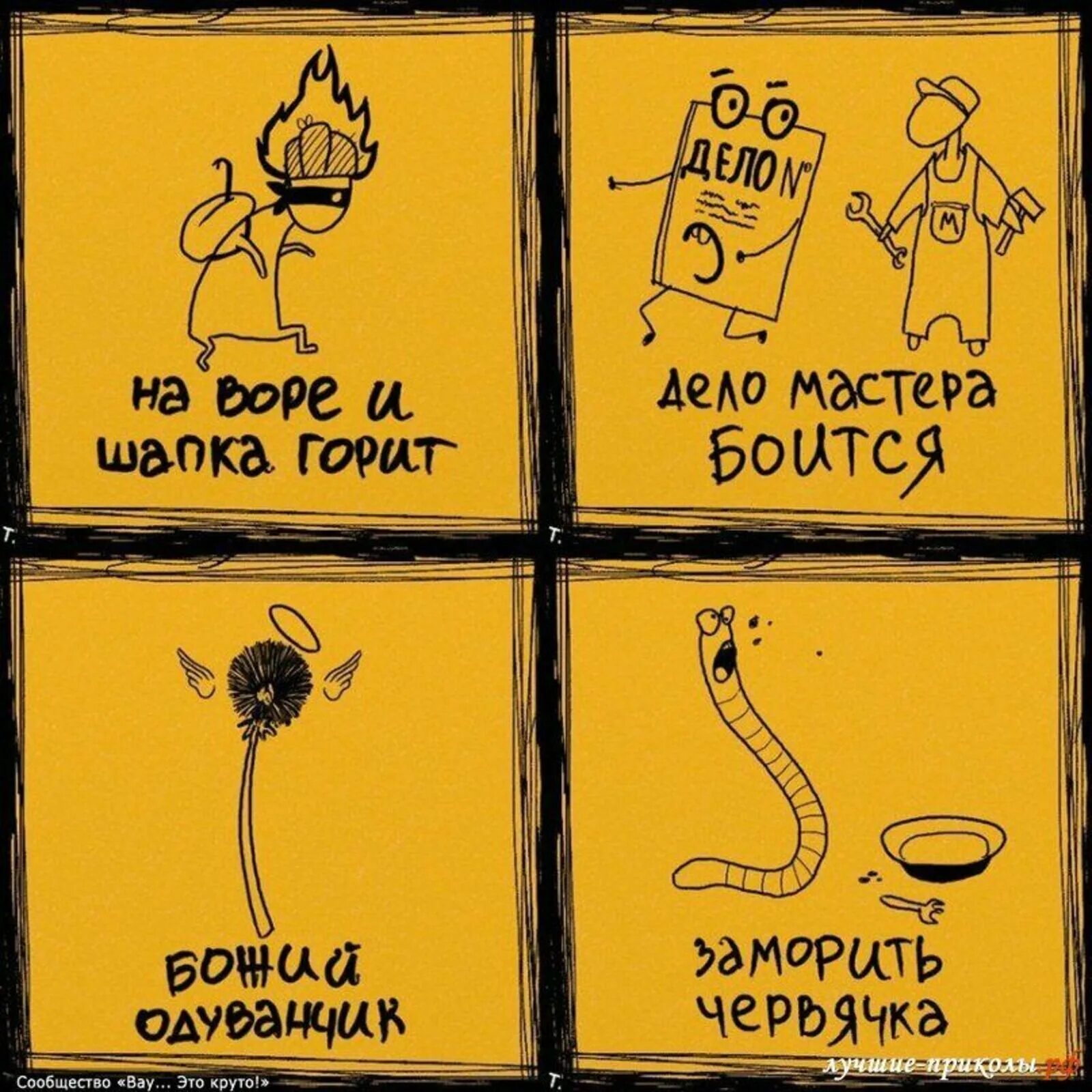 Фразеологизмы смешные картинки. Смешные фразеологизмы. Забавные фразеологизмы. Фразеологизмы в прямом смысле. Фразеологизмы в прямом смысле.