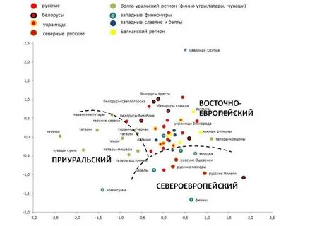По плану идеальный генофонд