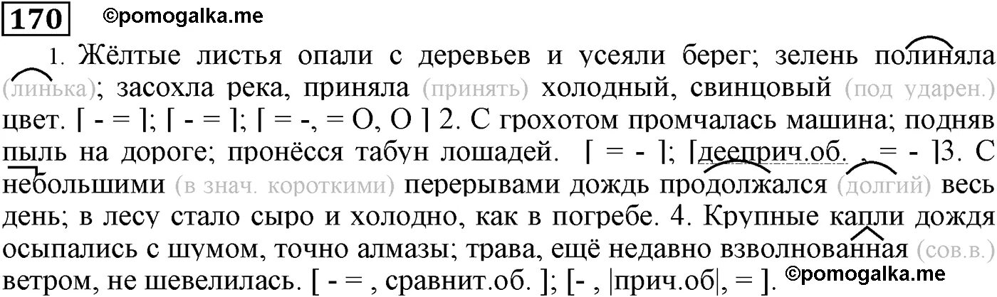 Упр 170 7 класс. Желтые листья опали с деревьев и усеяли берег зелень. Желтые листья опали с деревьев и усеяли. Жёлтые листья опали с деревьев и усеяли берег зелень полиняла текст. Гдз по русскому языку 9 класс Пичугов.