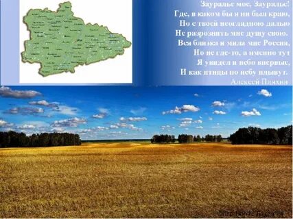 25 курганская область
