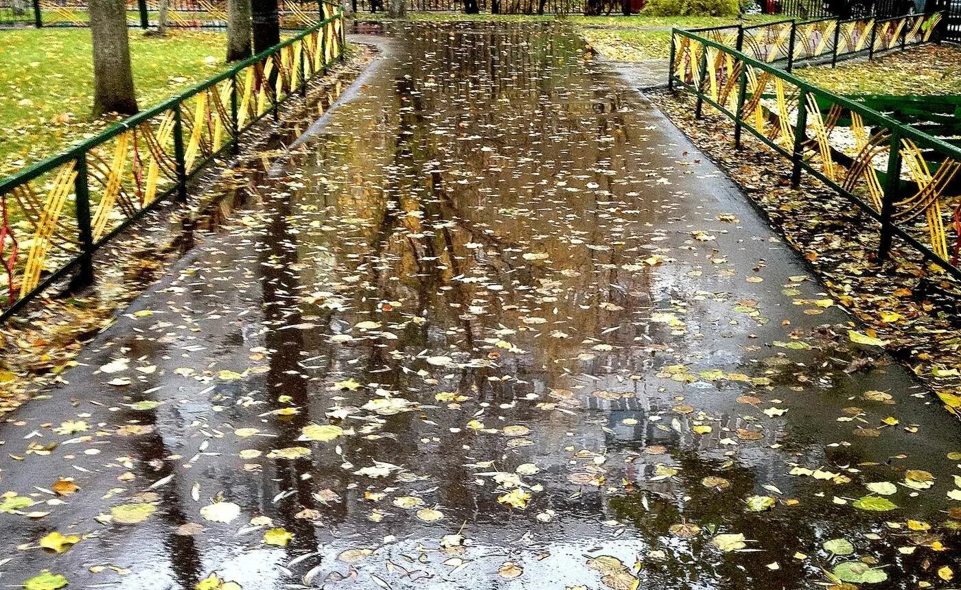 Мокрый осенний асфальт. Осень дождь асфальт. Мокрый асфальт осенью. Мокрый дождь.