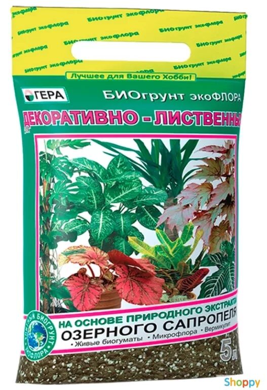 Грунт для кротона какой купить готовый фото Сансевиерия грунт для пересадки какой: найдено 88 картинок
