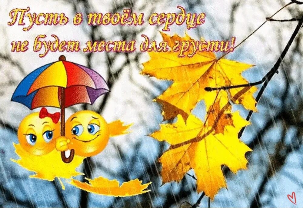 Желаю хорошей погоды и настроения. Осеннее настроение. С последним днем осени. Хорошего настроения в дождливую осень. Хорошего дня и отличного настроения осень.