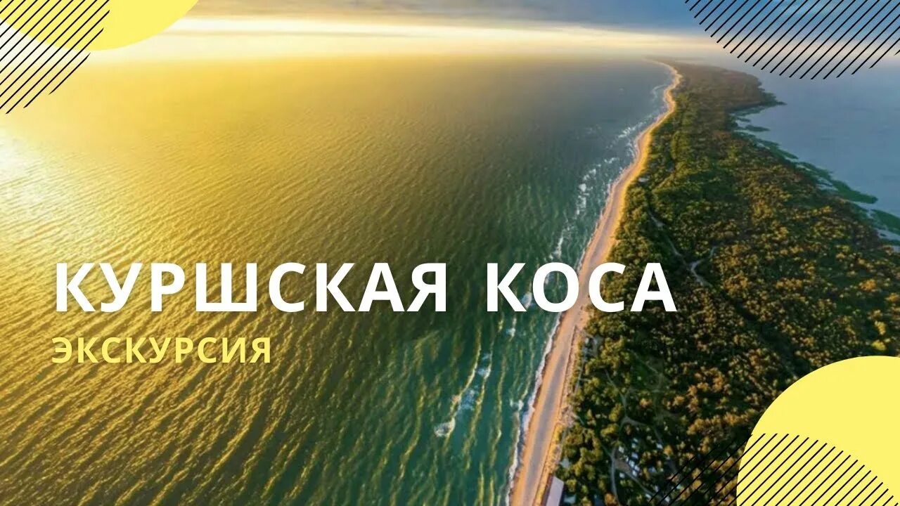 Как попасть на куршскую косу из зеленоградска