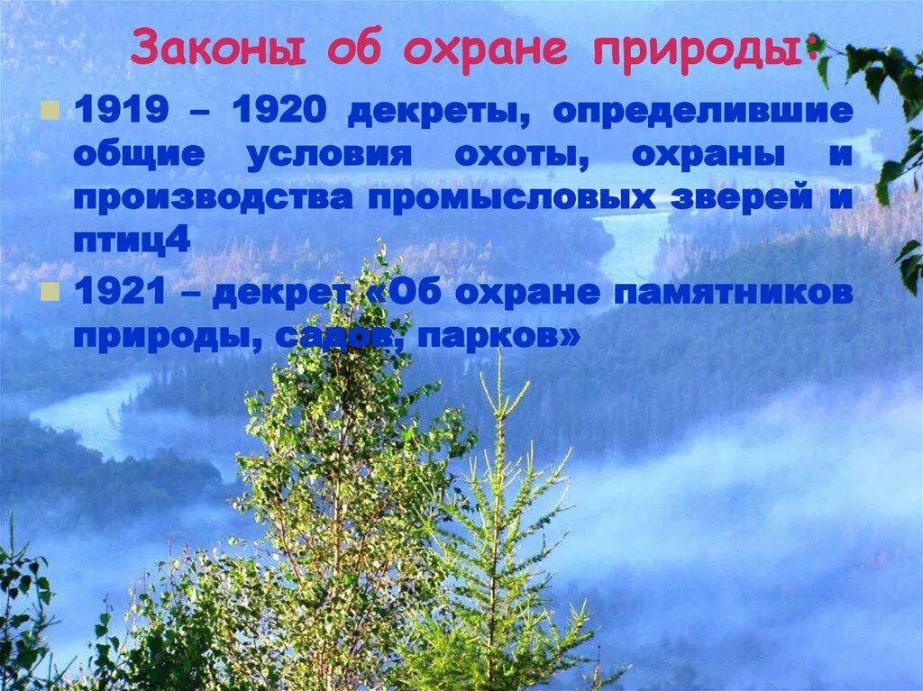 Охрана природы направлена. Законы об охране природы. Рассказ об охране природы. Законы охраны природы для детей. Охрана природы конспект.