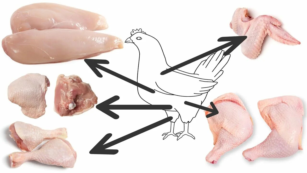 Какие части курицы. Потрошение тушки цыплят-бройлеров. Разруб курицы. Как правильно разделать курицу.
