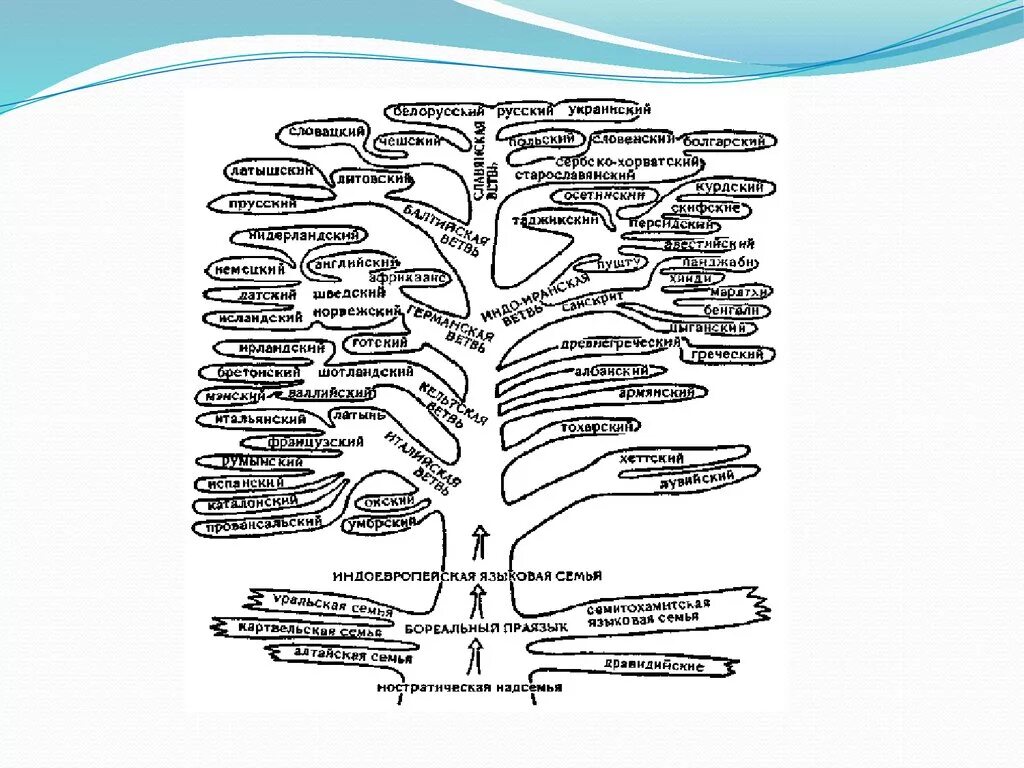 Индоевропейская семья языков схема. Схема индоевропейская языковая семья схема. Классификация индоевропейских языков таблица. Генеалогическое Древо индоевропейской. Языки входящие в группу индоевропейских