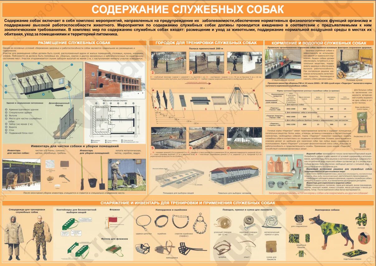 Купить Плакат "Содержание служебных собак" 84х57 см в Санкт-Петербурге, типограф
