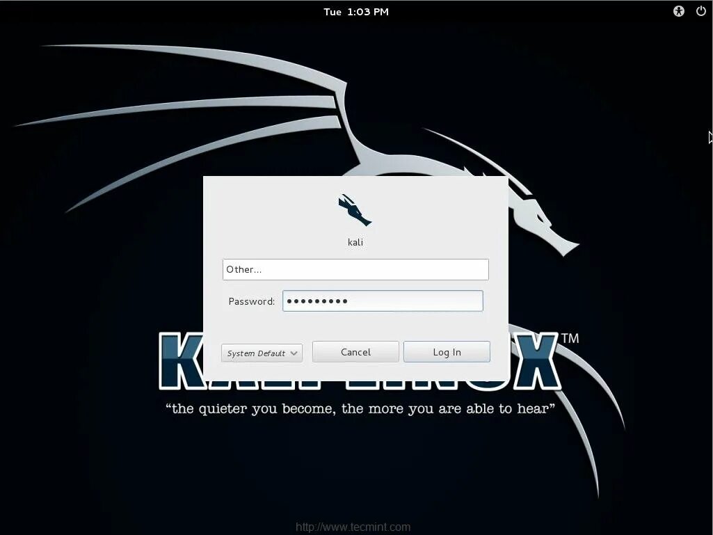 Kali linux пароль. Kali linux 1.1.0 install. экран входа kali linux. экран входа линукс. linux пароль.