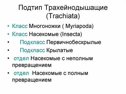 Класс подкласс вид