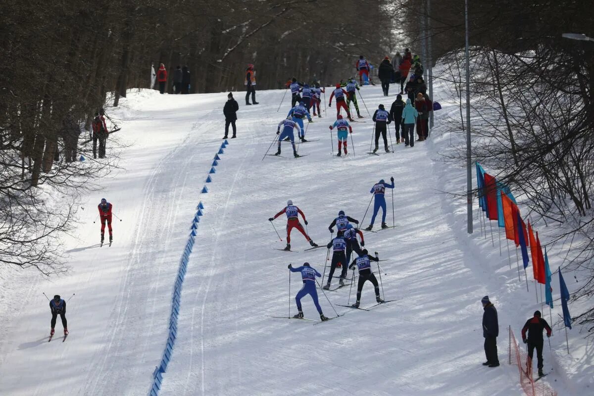 Нижегородский лыжный марафон. Лыжный марафон Нижний Новгород 2024. Трасса марафона Нижний Новгород. Лыжи 4-й марафон Нижний Новгород. Марафон нижний новгород 2024 результаты