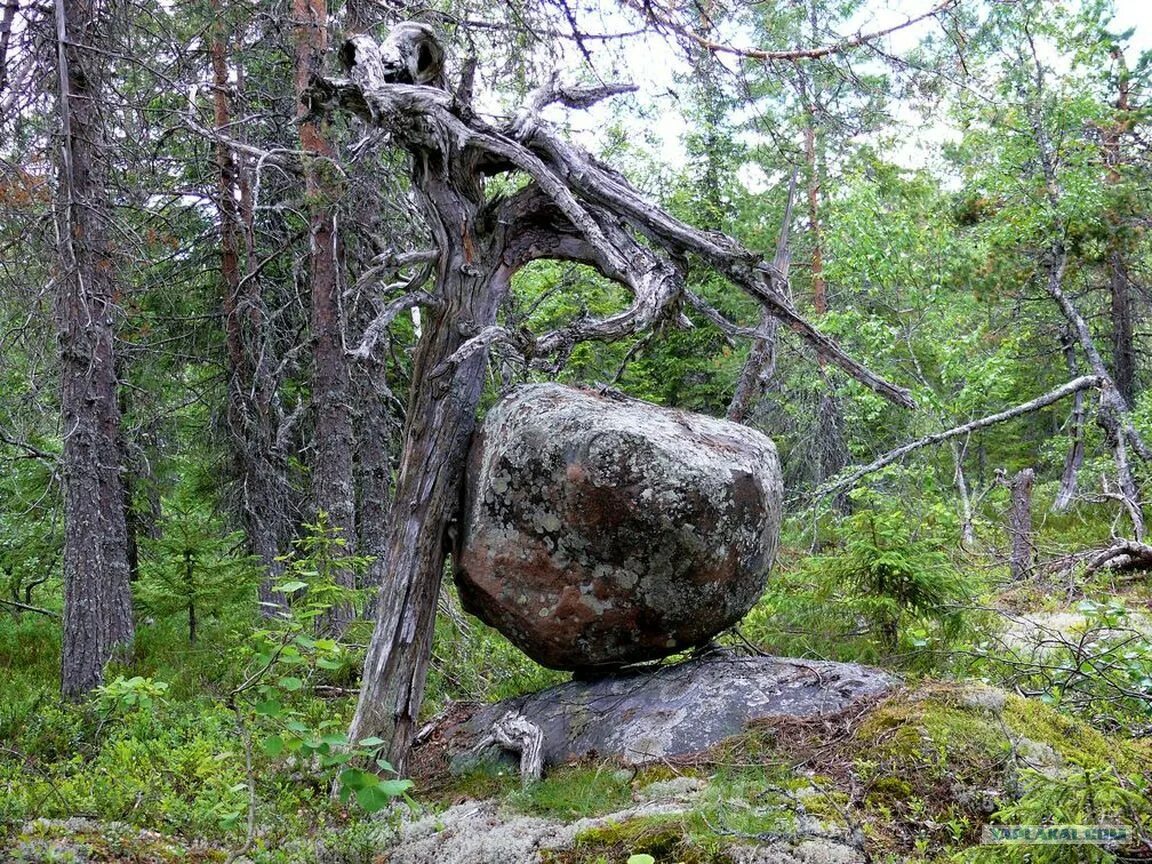 Воттоваара сейды. Гора Воттоваара. Сейды Карелии гора Воттоваара. Мистическая гора Воттоваара Карелия. Легенды мест россии