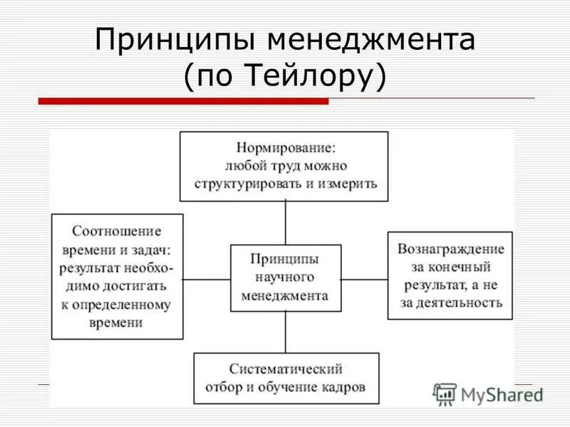 Основные принципы менеджмента презентация