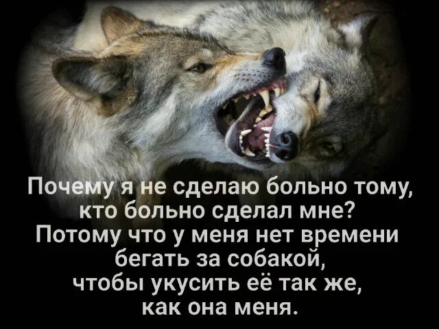 Под стать волку
