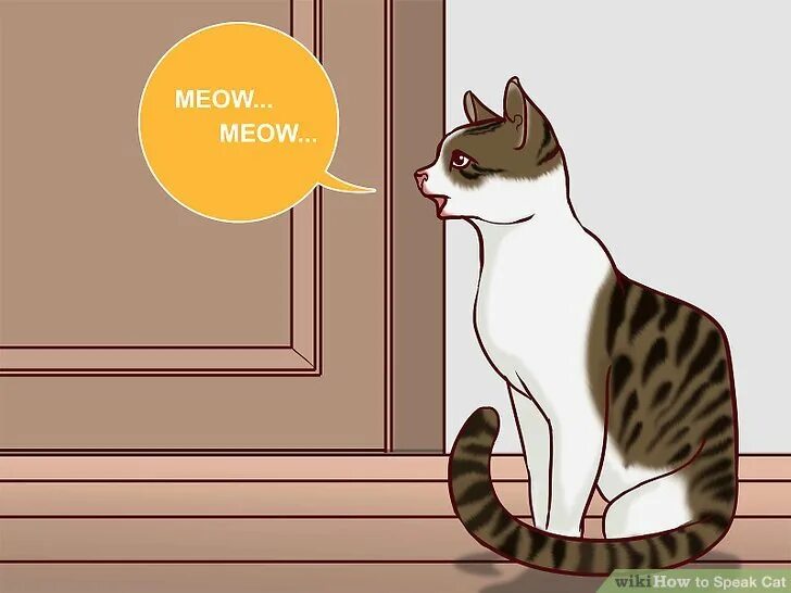 Кот во франции. Russian cat is speaking with chinese. Behaviour in cats. Cat speaking. Cat speaking.