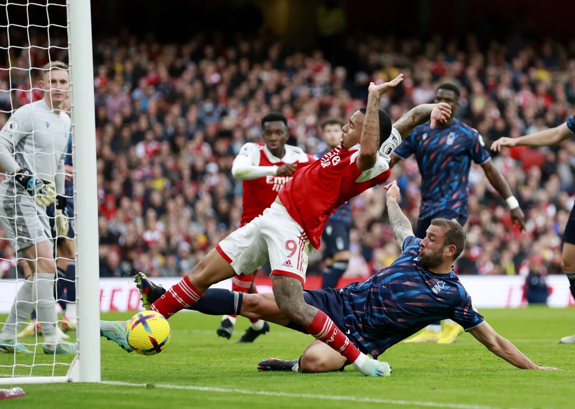 Forest arsenal