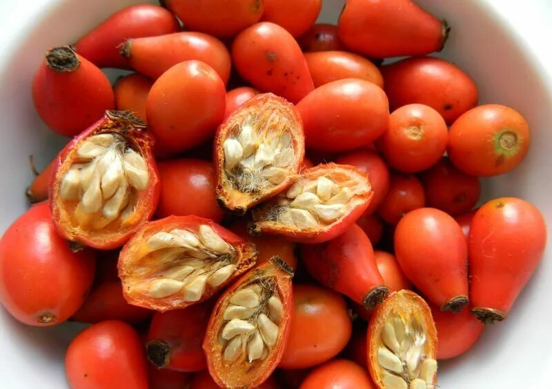 Плод пятигнездная коробочка. Myristica fragrans. Шиповник в разрезе. Мускатный орех плод. Гранат в обтравку.