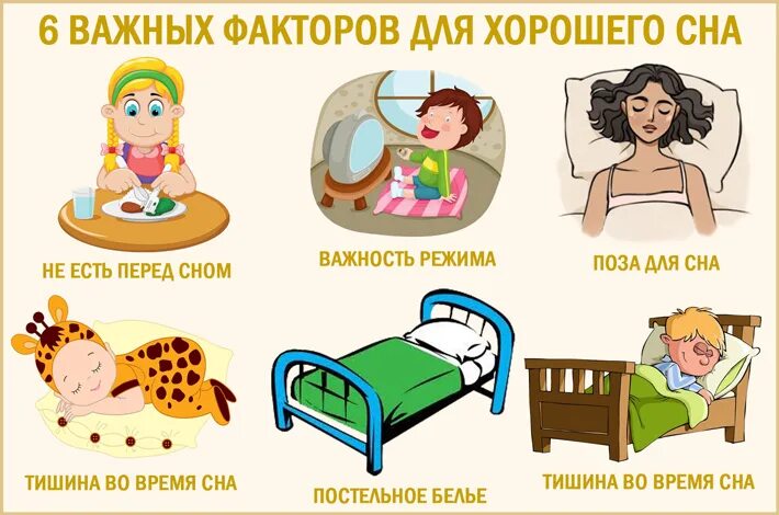 Перед сном рекомендуется проводить