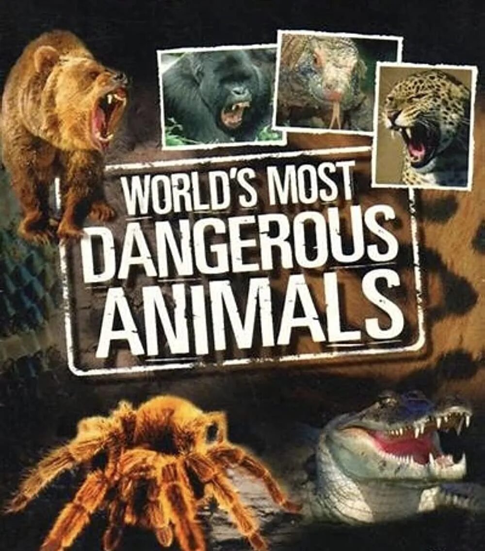 The most dangerous animal. Топ самых опасных животных. Самые опасные животные 10.