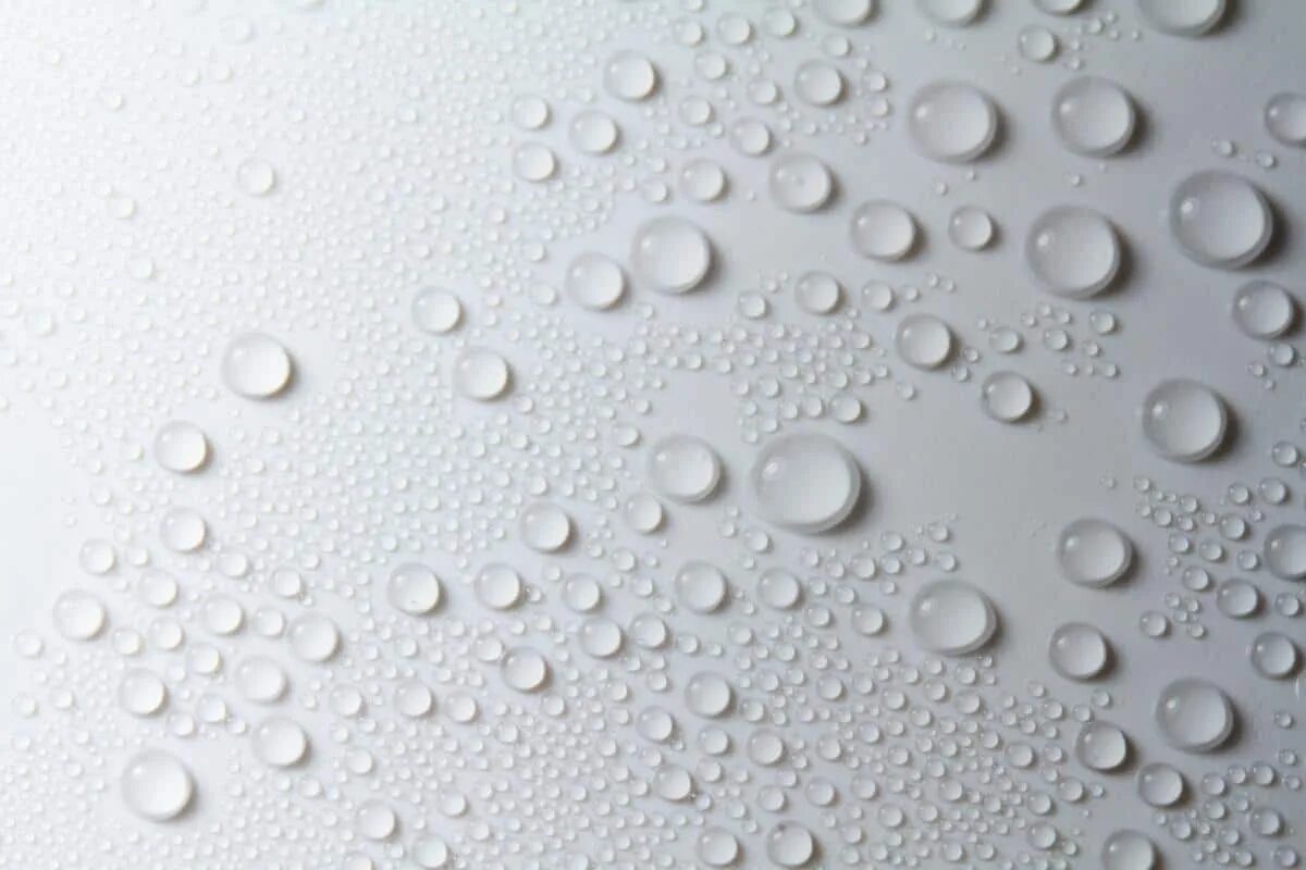 White drops. Drops white background. water drops on white. rain drops for background white.