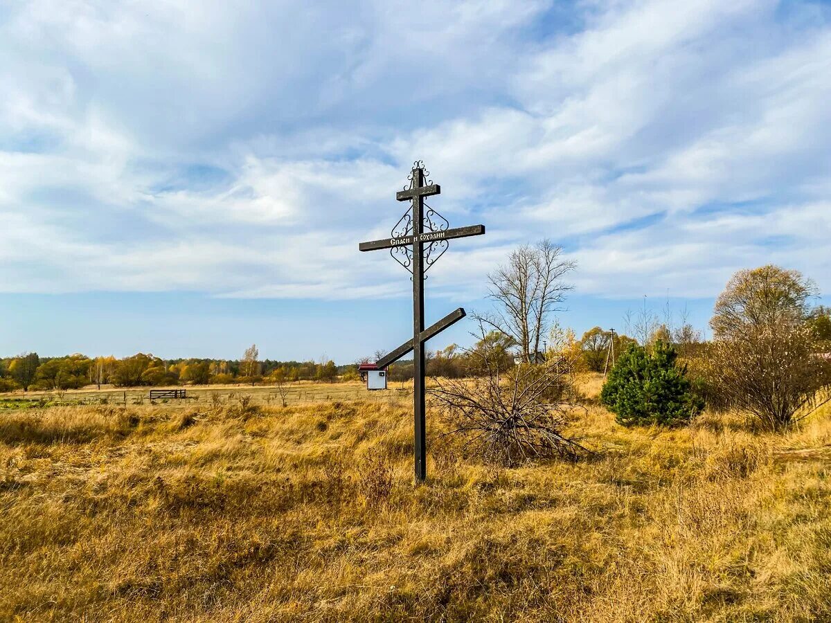 Золотая рыбка гуляй борисовка. Мбоу борисовская сош 2. Погода рп5 гуляй борисовка. Погода рп5 гуляй борисовка. Погода рп5 гуляй борисовка.
