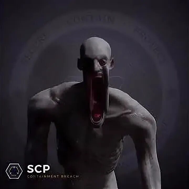 Csp 0.2 4
