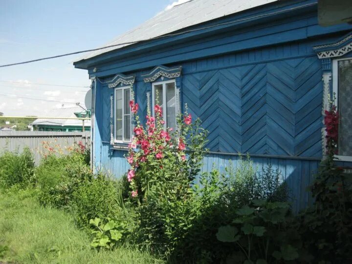 Деревня андреевка башкирия. Андреевка тамбовская область. Погода андреевка нижегородская область. Домик в селе. Погода андреевка нижегородская область.
