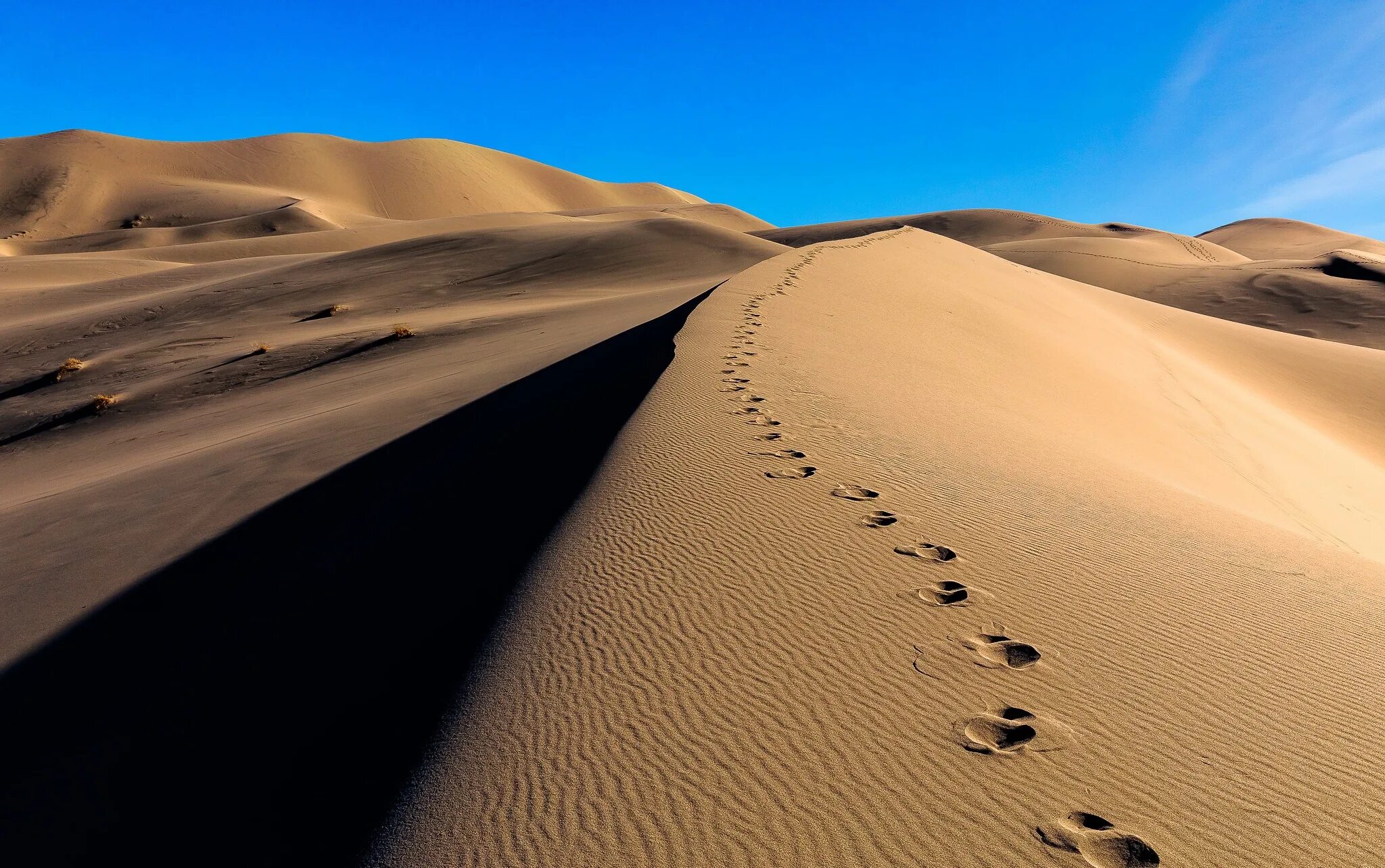 Эль ХАМРА пустыня. Бархан Сарыкум. Барханы в пустыне. Следы на песке в пустыне.