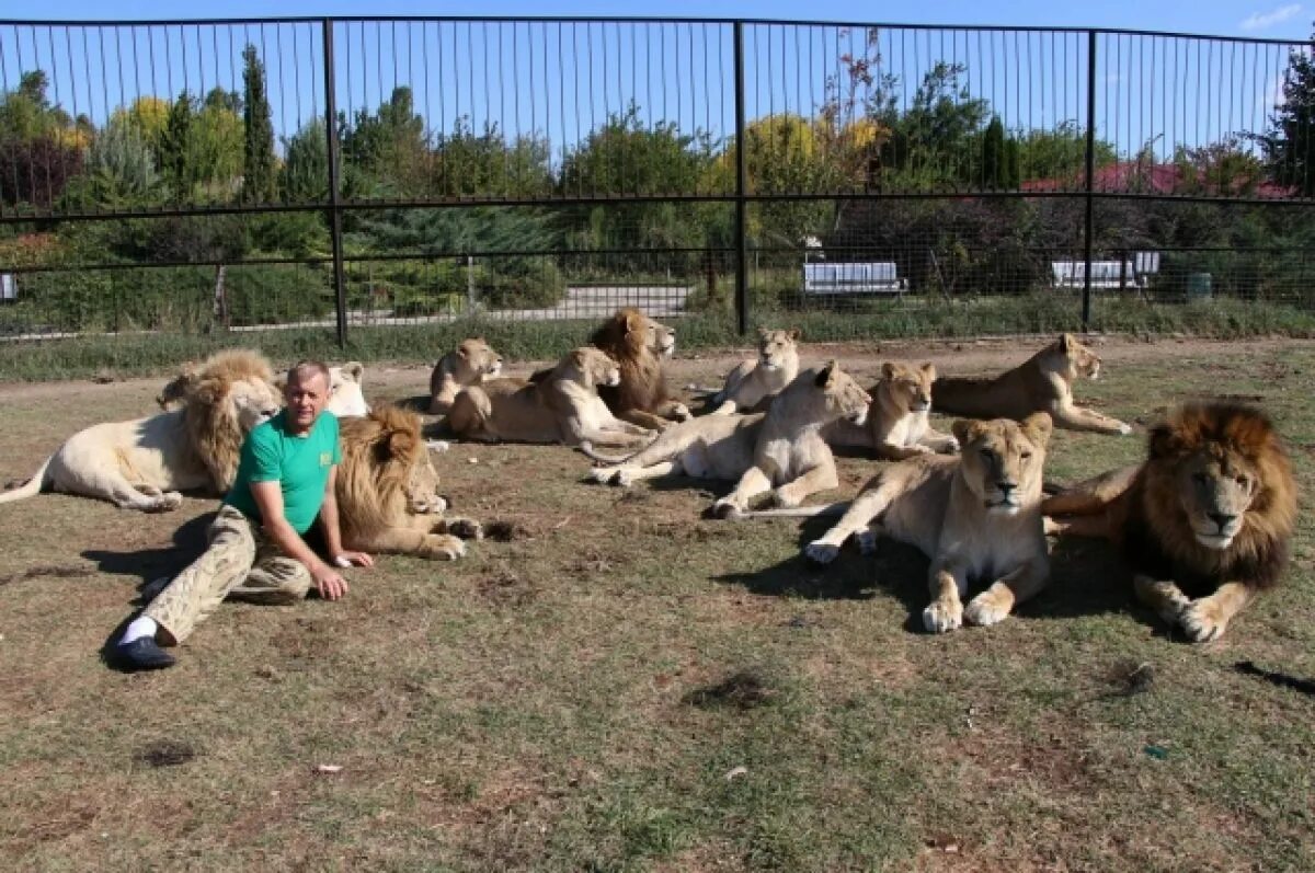 История создания сафари-парка "Тайган" Kings Of The Animal World Дзен
