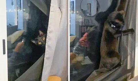 Потом готово