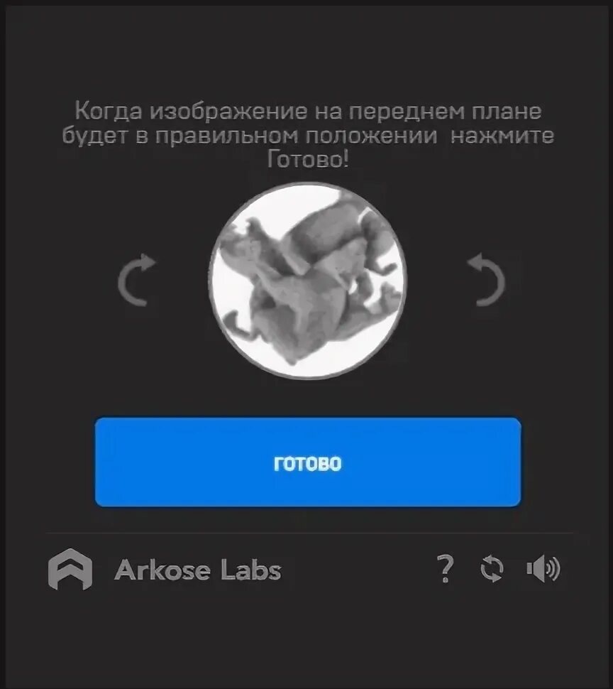 Лолз аккаунты вк. Капча игра. Капча Epic games. Как пройти капчу с животными. Arkose Labs captcha.