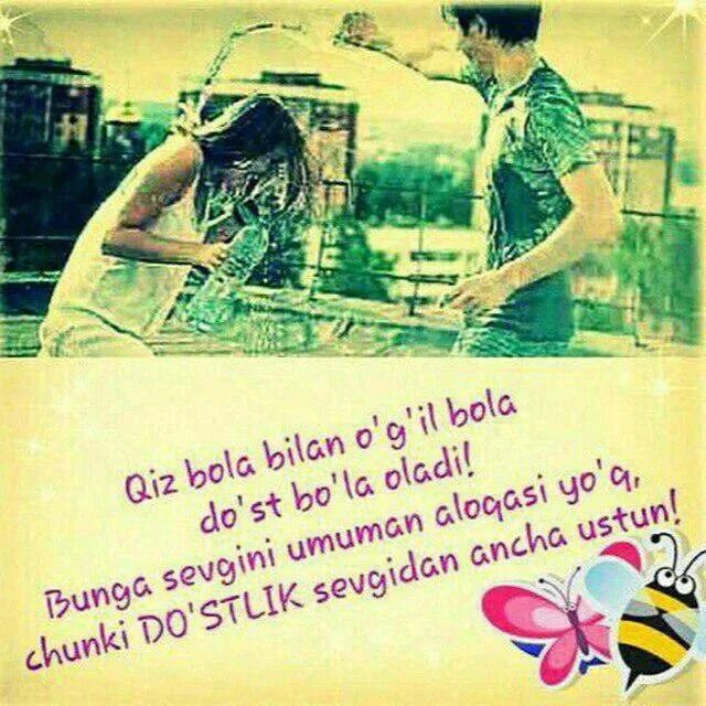 Dost sherlar