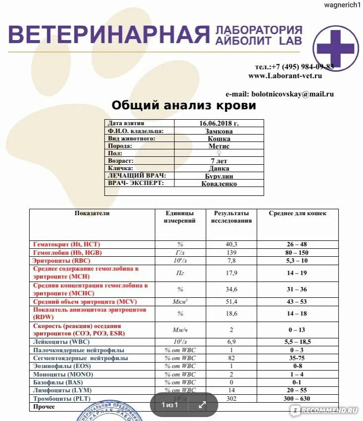 Анализ на аммиак в крови. Нормы биохимического анализа крови у кошек. Норма биохимического анализа крови у собак таблица. Нормы клинического анализа крови у животных. Биохимия кошачьего анализа крови норма.