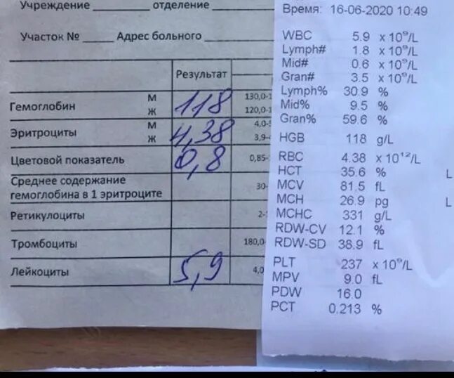 Что показывает кровь при беременности. Анализ на железо в крови ферритин норма. Норма железа и гемоглобина. Ферритина. Ферритин анализ крови норма у женщин. Анализ крови с низким гемоглобином.