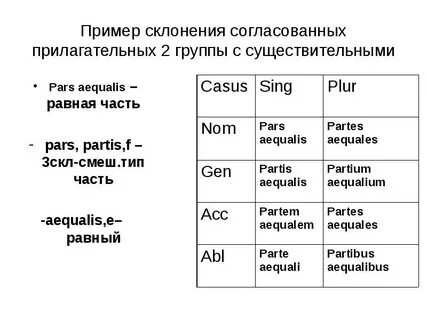 Прилагательные 2 группы в латинском